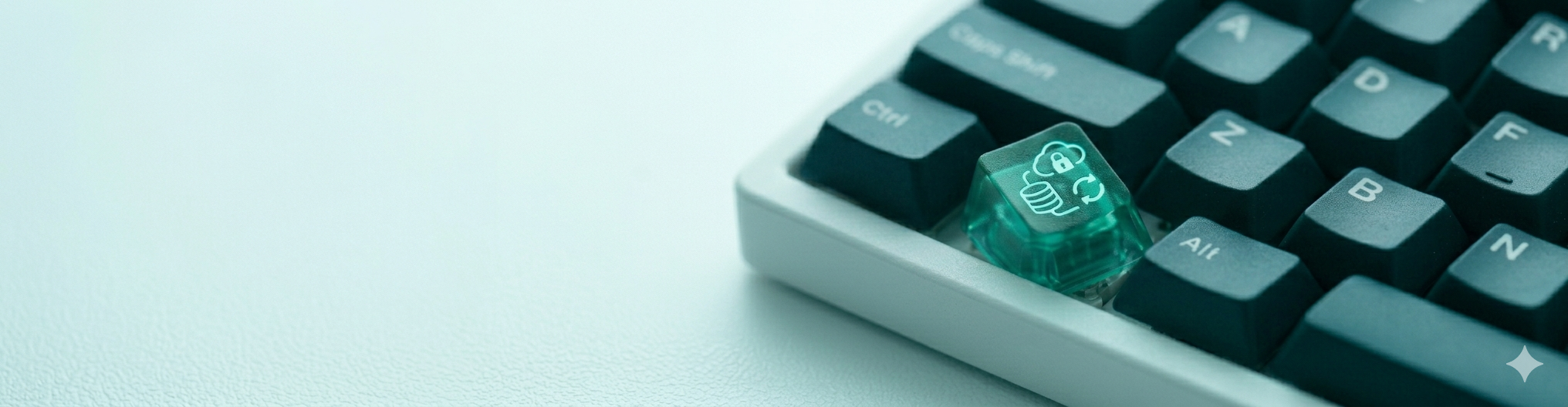 Còpies remotes 2